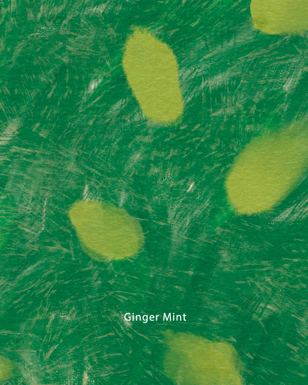 Apoteka Soul Ginger Mint  - Loose Leaf Tea