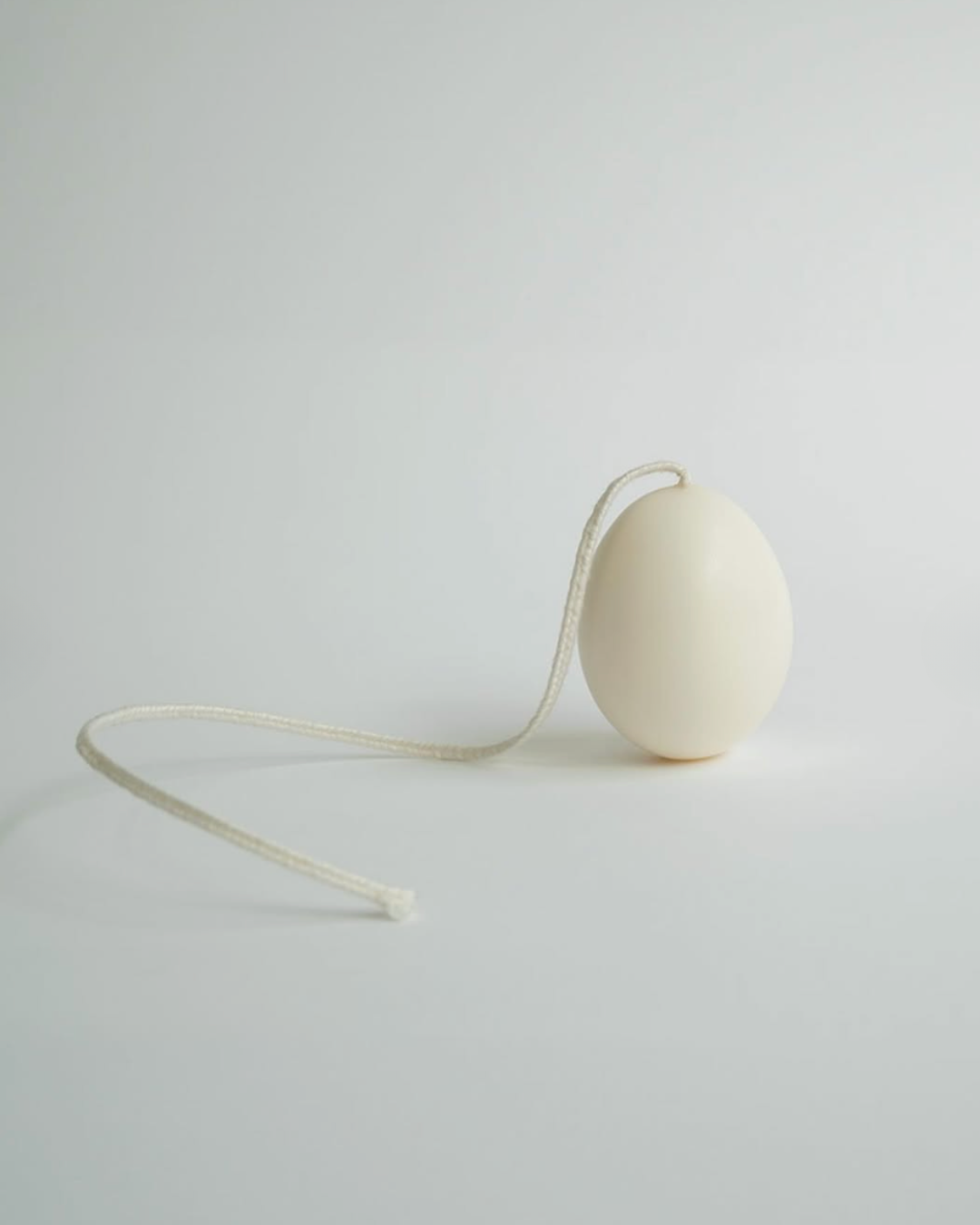 Museum Archive Hen Egg Candle