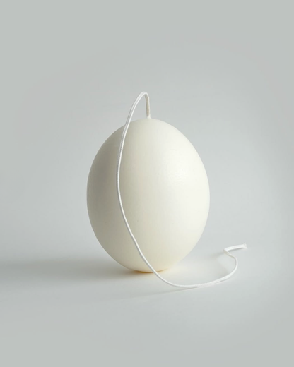 Museum Archive Hen Egg Candle