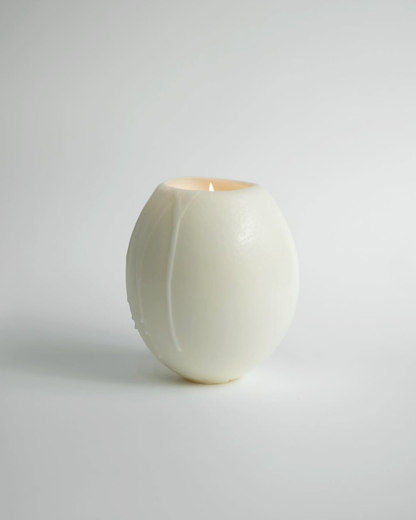 Museum Archive Hen Egg Candle