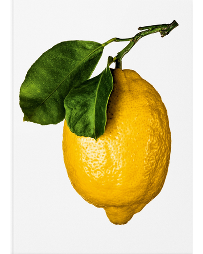 The Gourmand's Lemon. A Collection of Stories and Recipes