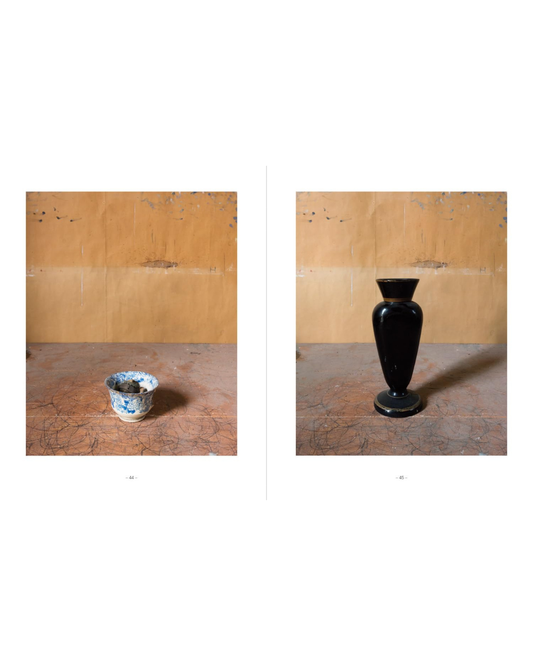 Joel Meyerowitz - Morandi's Objects
