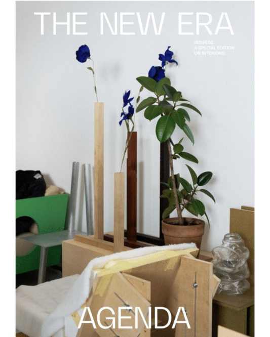 The New Era Agenda, Issue 02