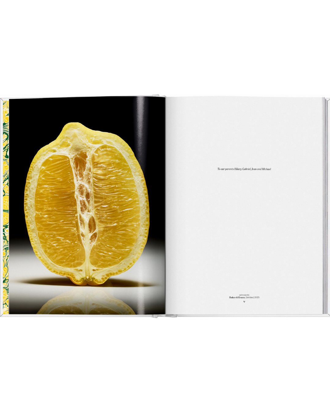 The Gourmand's Lemon. A Collection of Stories and Recipes
