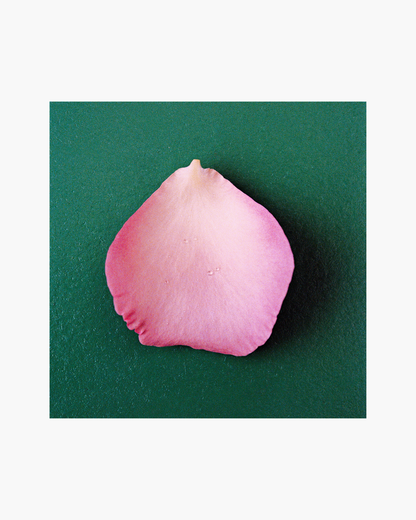 Nonfiction THE ROSE Eau de Parfum