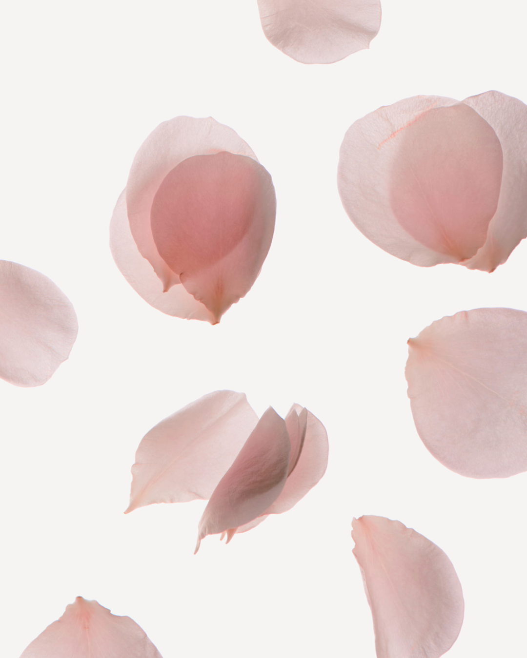 Nonfiction Rose Pale Hair Serum Mist 100ml