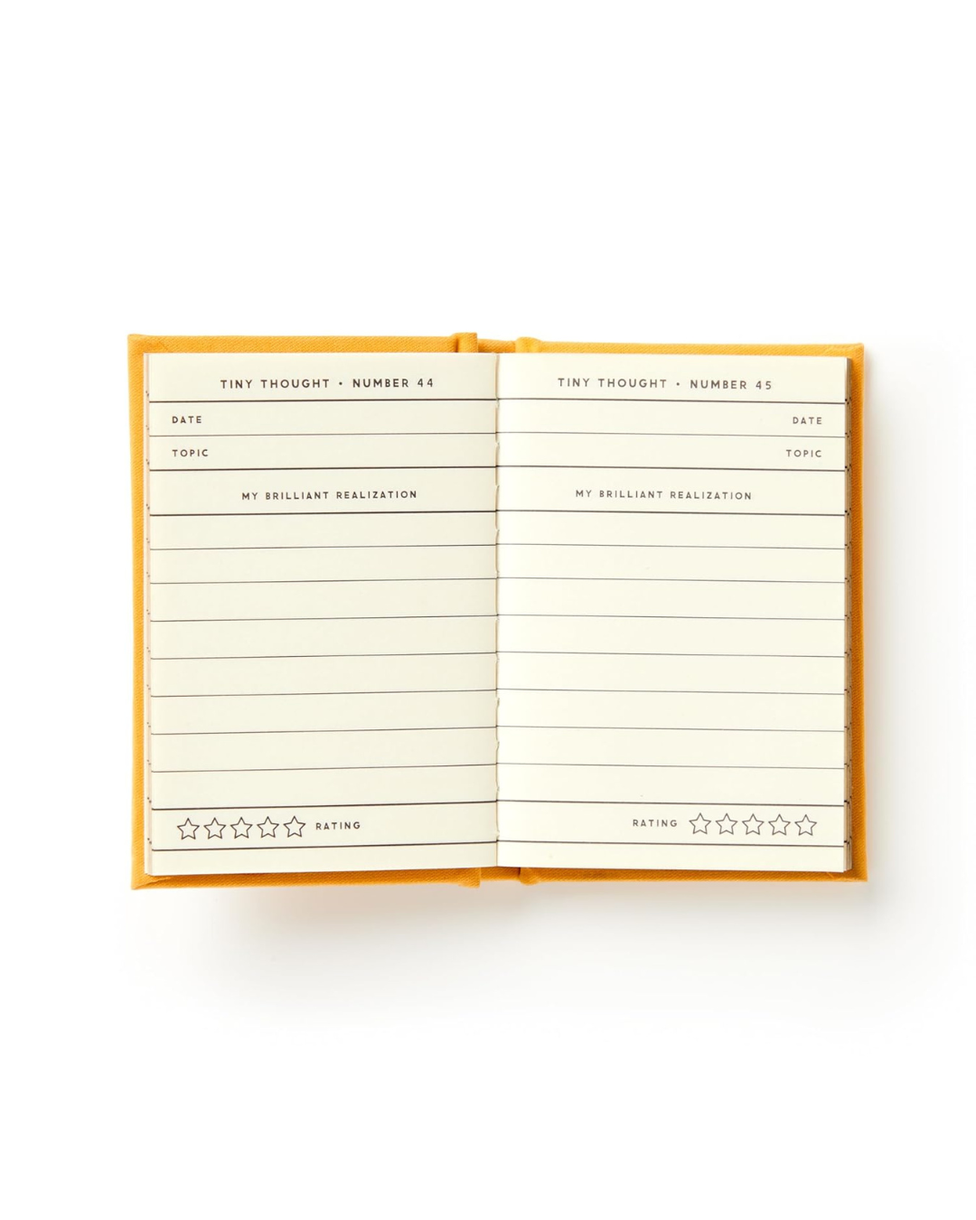 Tiny Diary for Tiny Thoughts
