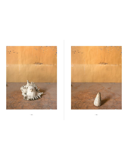 Joel Meyerowitz - Morandi's Objects