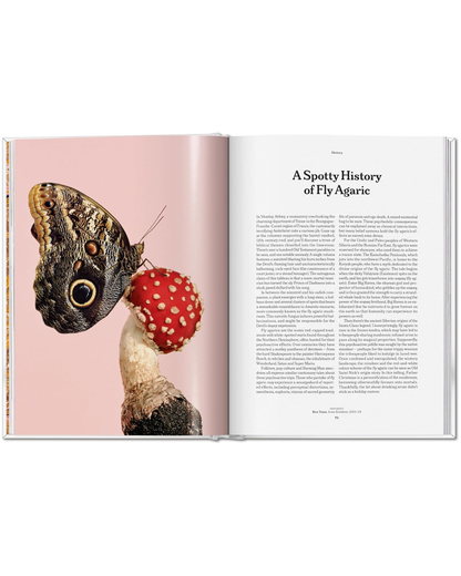The Gourmand's Mushroom. A Collection of Stories & Recipes