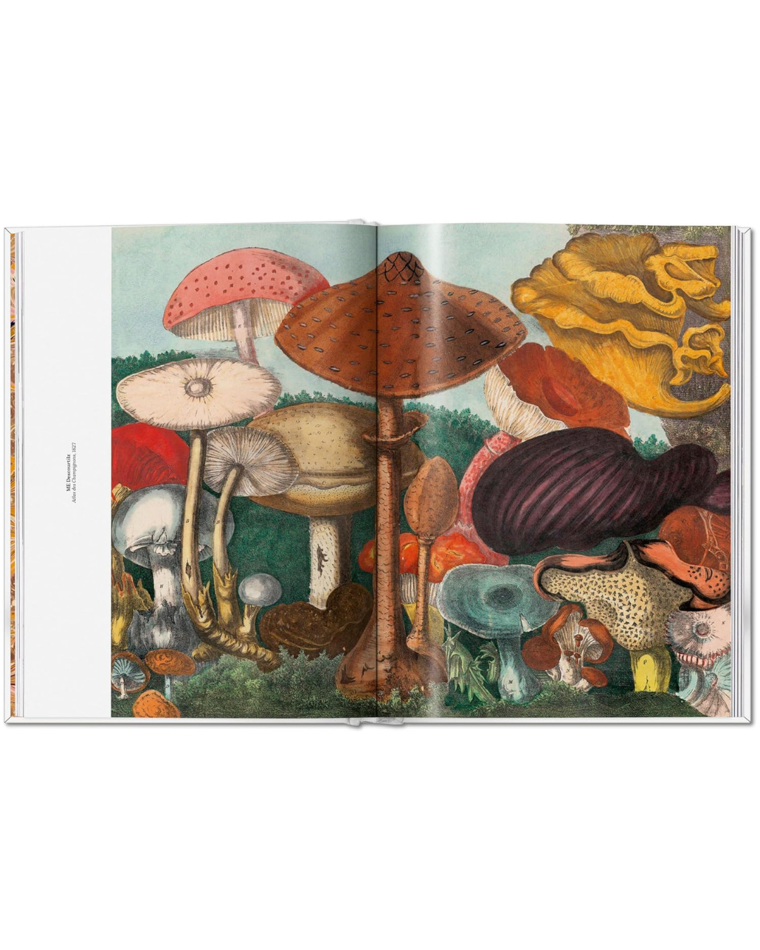 The Gourmand's Mushroom. A Collection of Stories & Recipes