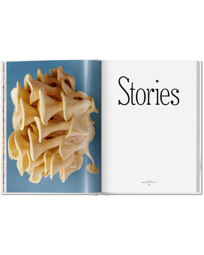 The Gourmand's Mushroom. A Collection of Stories & Recipes