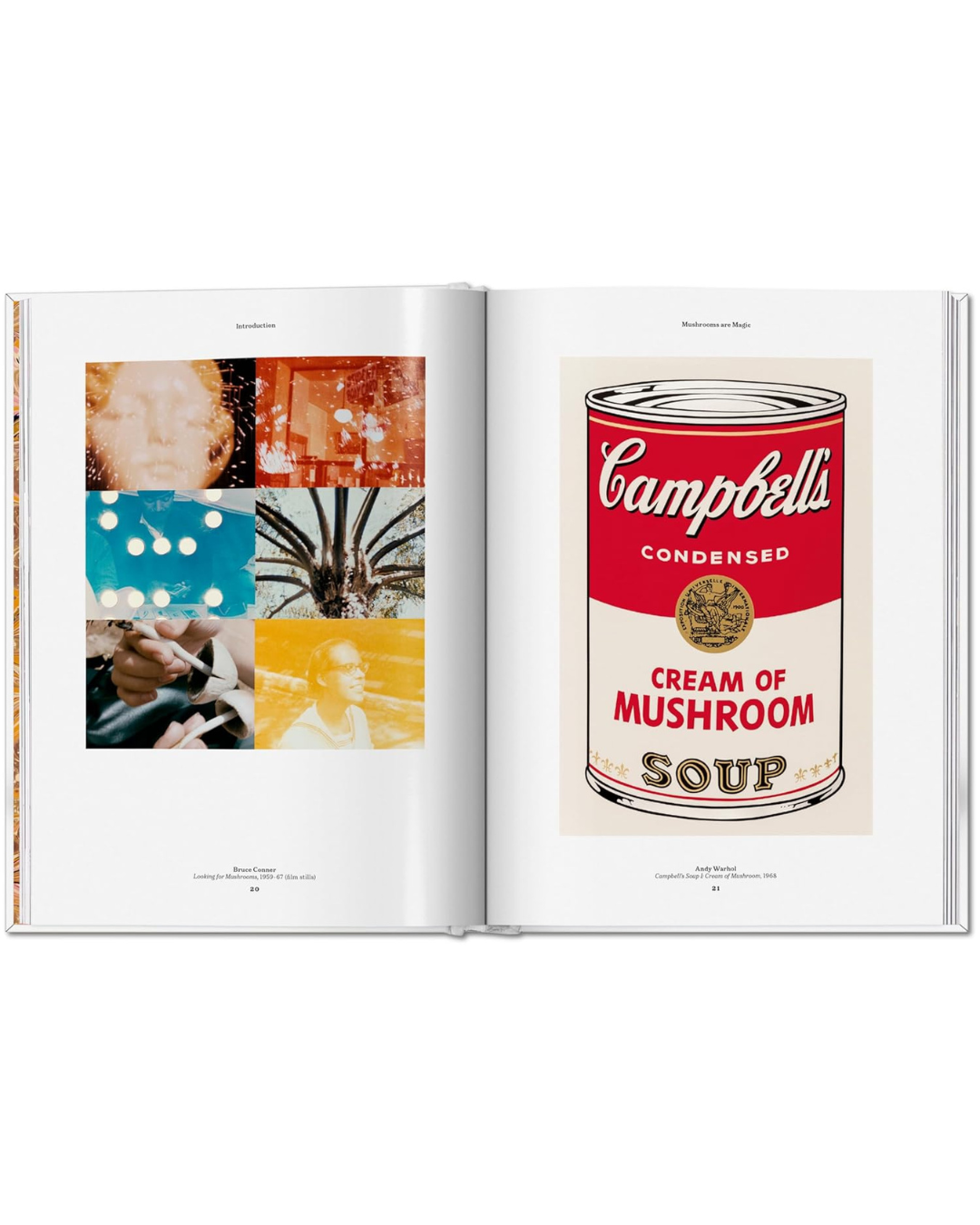 The Gourmand's Mushroom. A Collection of Stories & Recipes