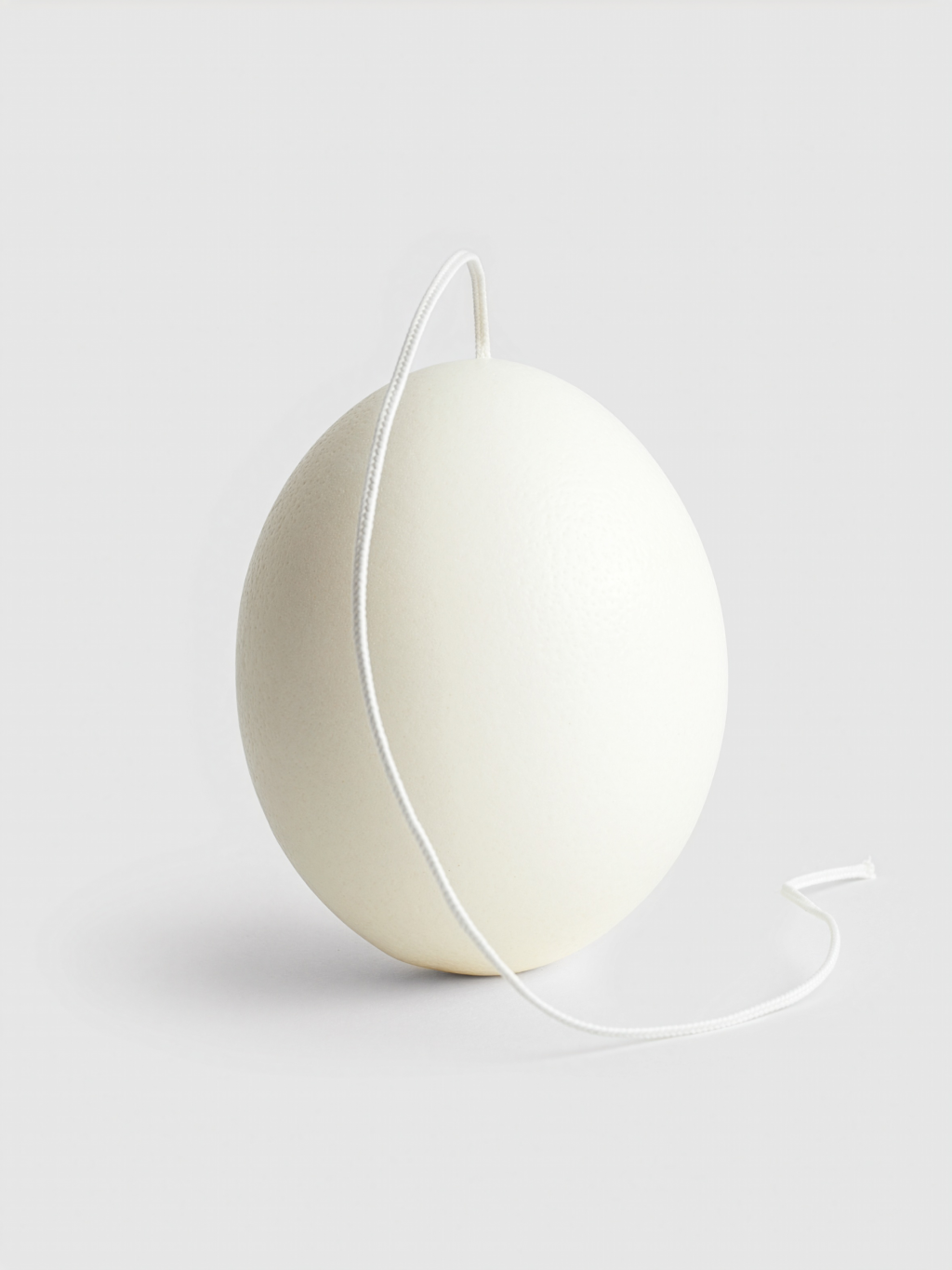 Museum Archive Ostrich Egg Candle