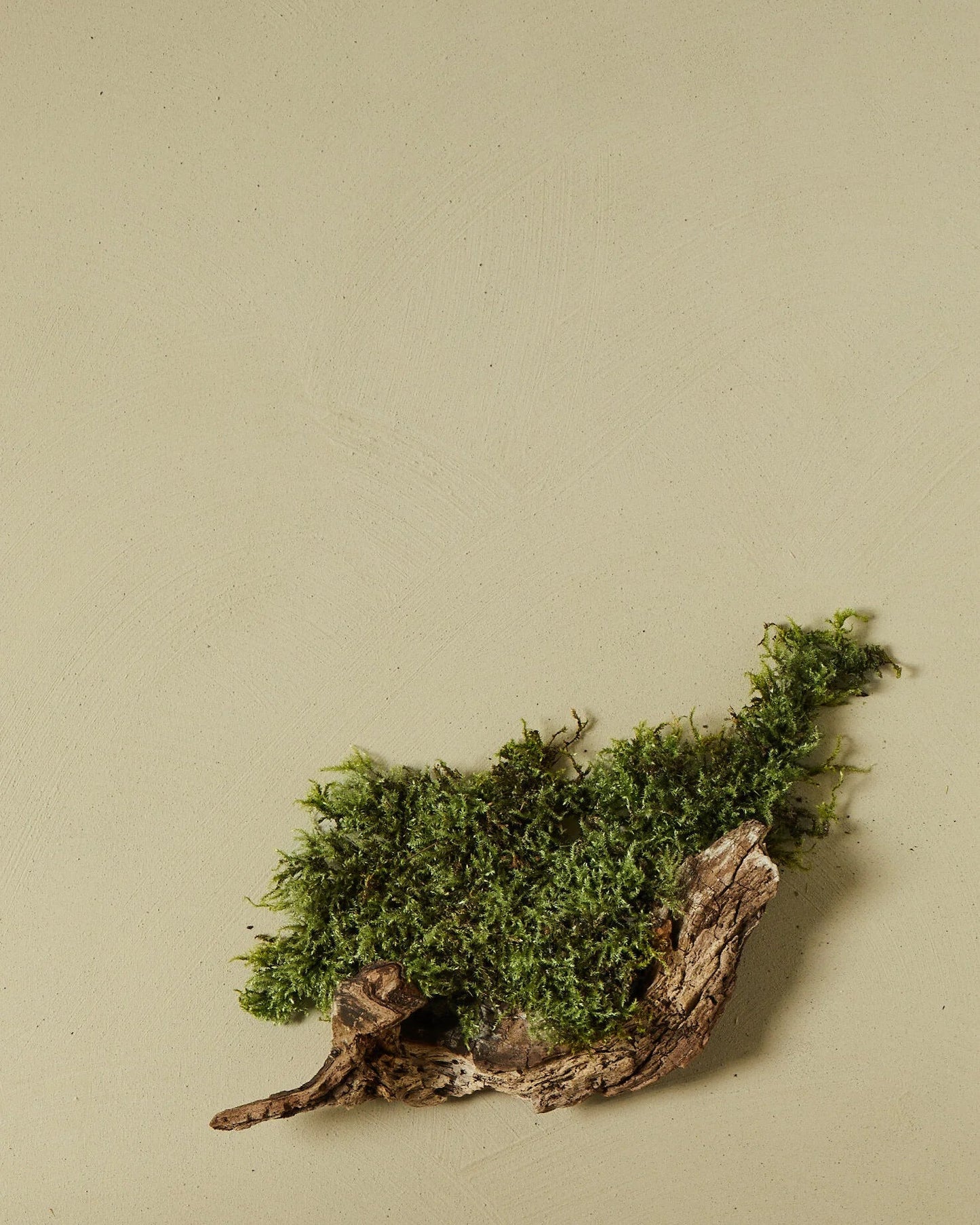 nen-do Clay Paint 1.5kg — Siberian Moss