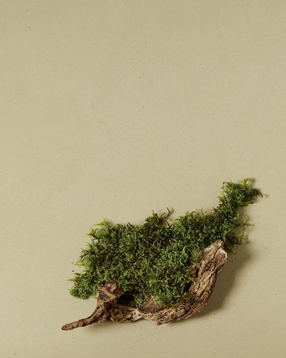 nen-do Clay Paint 1.5kg — Siberian Moss